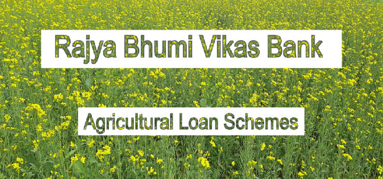 Agricultural-Loan