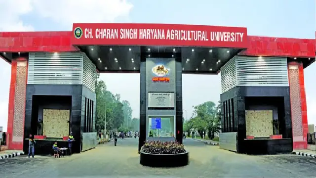 Chaudhary Charan Singh Agricultural University