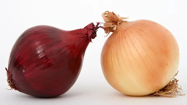 Onions Varieties
