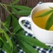 भांग की चाय (Bhang Chai) के फायदे