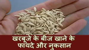 Muskmelon Seeds Benefits in Hindi
