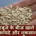 Muskmelon Seeds Benefits in Hindi