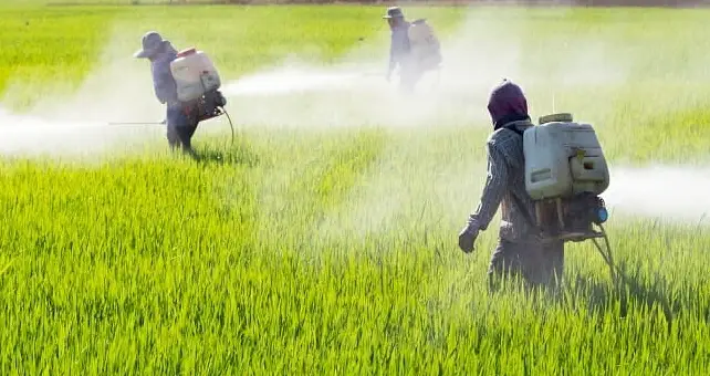 banned pesticides