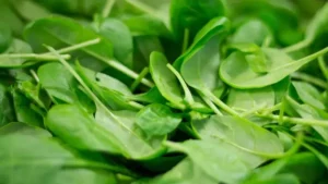Spinach Eating Benefits