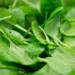 Spinach Eating Benefits
