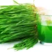 Wheat Grass Juice Benefits