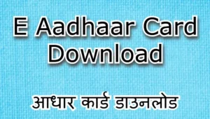 E Aadhaar Card Download PDF