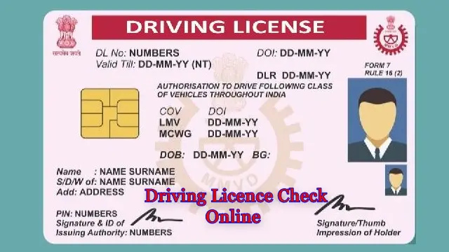 Driving Licence Check Online 