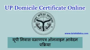 UP Domicile Certificate Online