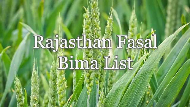 Rajasthan Fasal Bima List