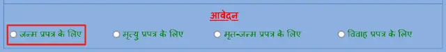 Select Rajasthan Birth Form