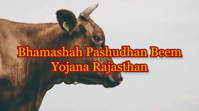 Bhamashah Pashudhan Beem Yojana Rajasthan