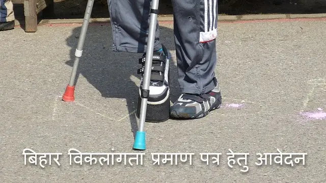 Bihar Disability Certificate